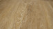 planeo Vinile adesivo - Object Oak Log Quercia teutonica (PLDD2570-TEU)